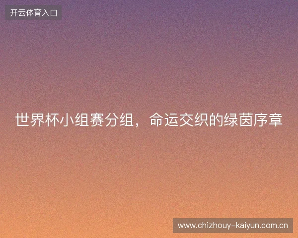 世界杯小组赛分组，命运交织的绿茵序章