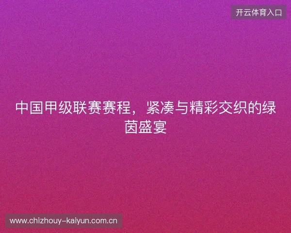 中国甲级联赛赛程，紧凑与精彩交织的绿茵盛宴