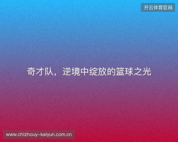 奇才队，逆境中绽放的篮球之光